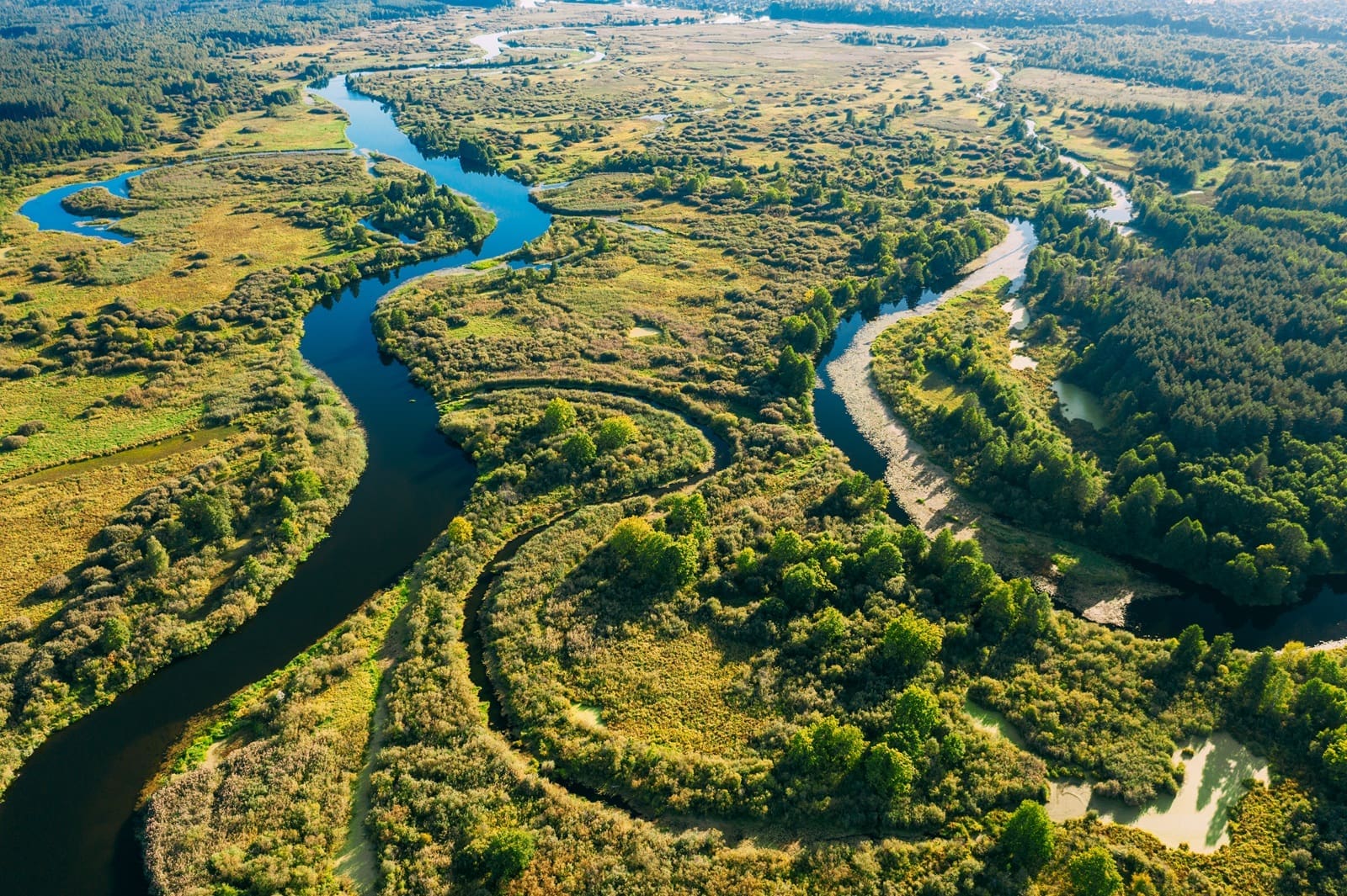 Habitat Restoration
